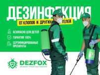 Уничтожение Клопов Комаров Таракан Санитарная Дезинфекция Дезинсекция