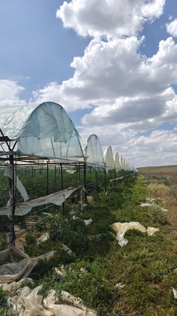 Теплица  каркас  на  1. Гектар