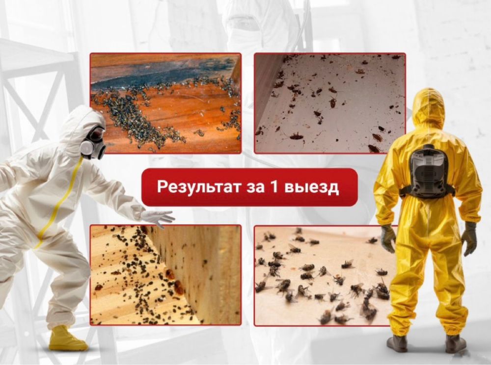 Дезинфекция! Уничтожение тараканов тараканы клопов клопы блох ос