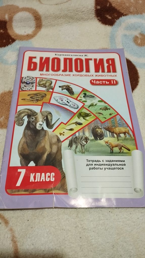 Атласы + контурные карты