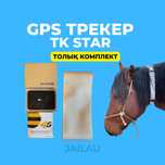 GPS жылқыға арналған. GPS трекер для лошадей TK Star
