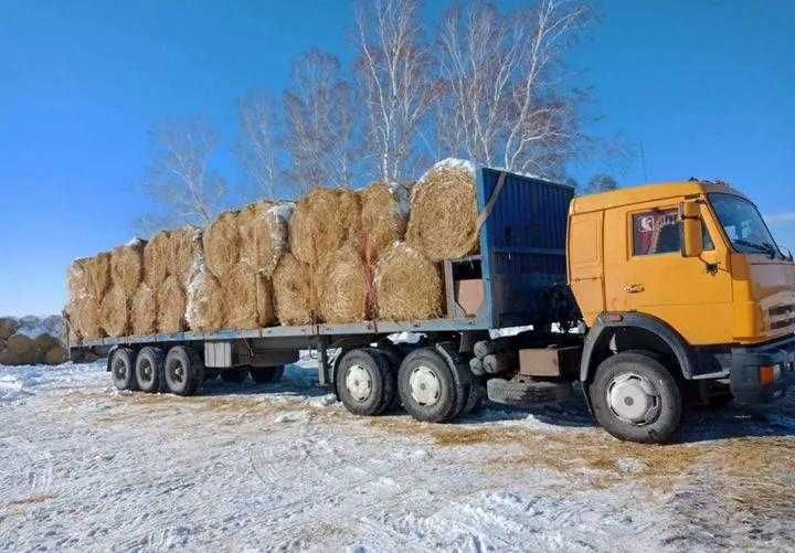 Заказ, Услуги, Аренда, Автокран, Кран, Китаец, Галичанин, Ивановец,