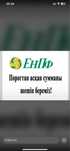 Арест ИП/ТОО ЕНПФ Декрет Субсидия Егов