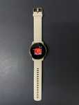 Часы Garmin VENU 2 PLUS