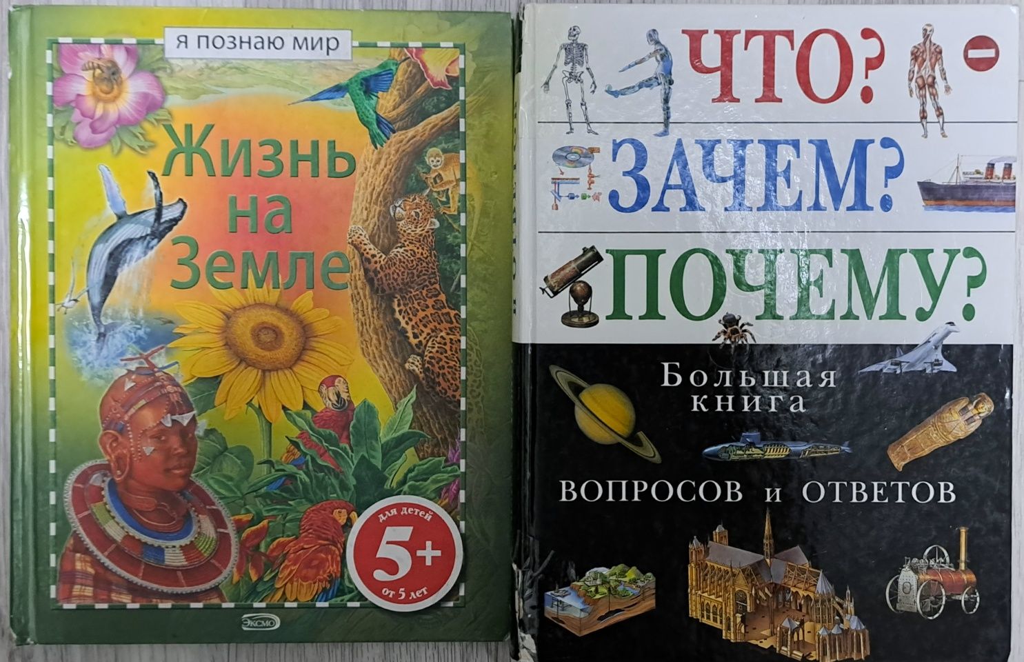 что зачем почему для детей