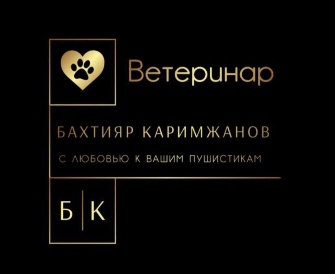 Вызов ветеринара на дом