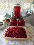 Вишня дачная, компоты