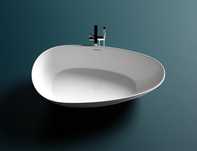 Salini Paola 101512SMRF