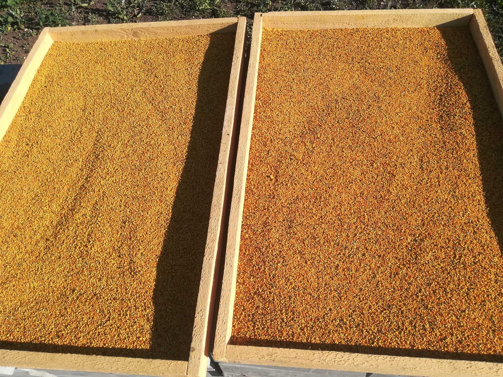 Продам мёд, пыльцу, лесное разнотравие