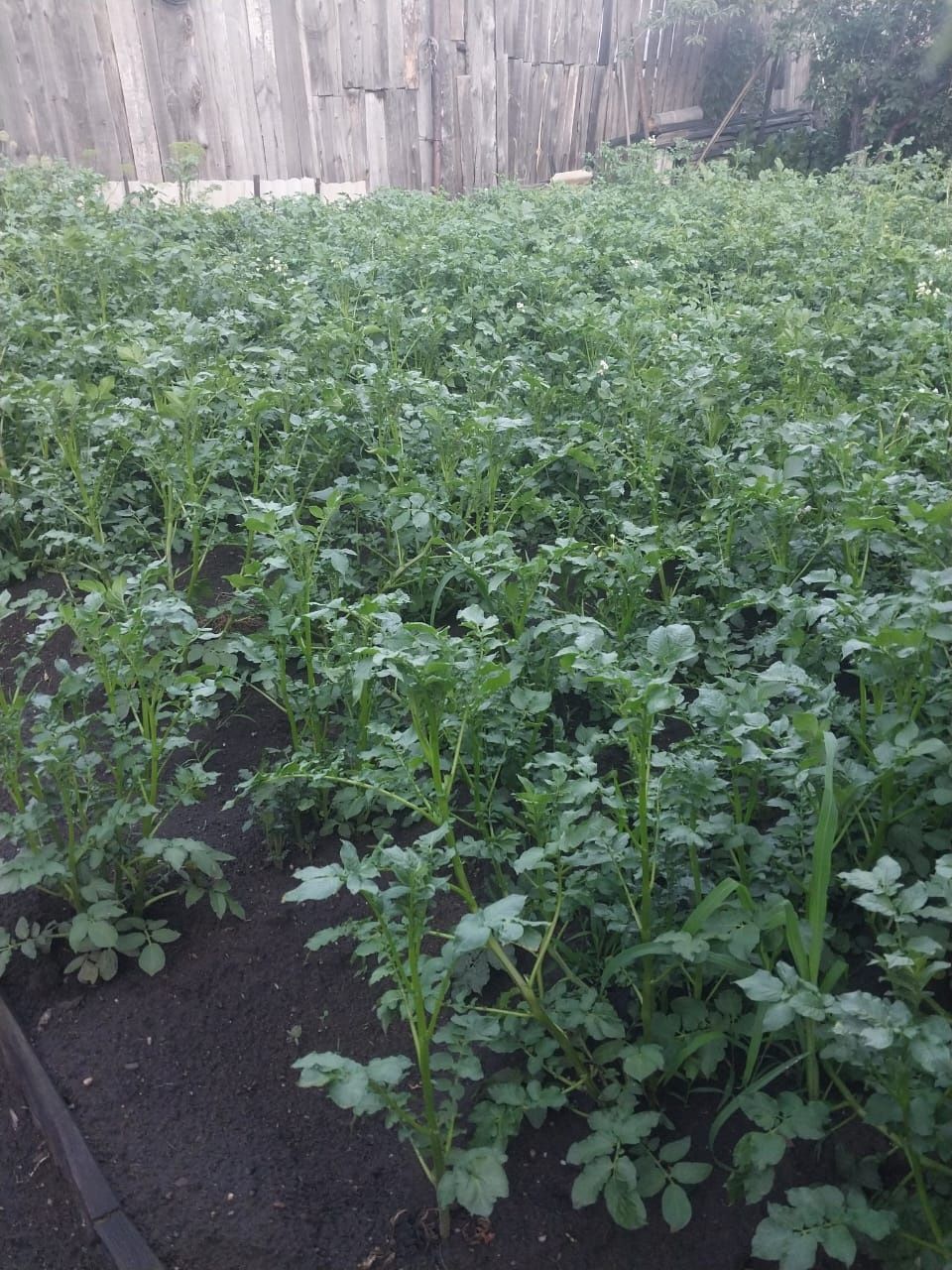 Продам дом срочно
