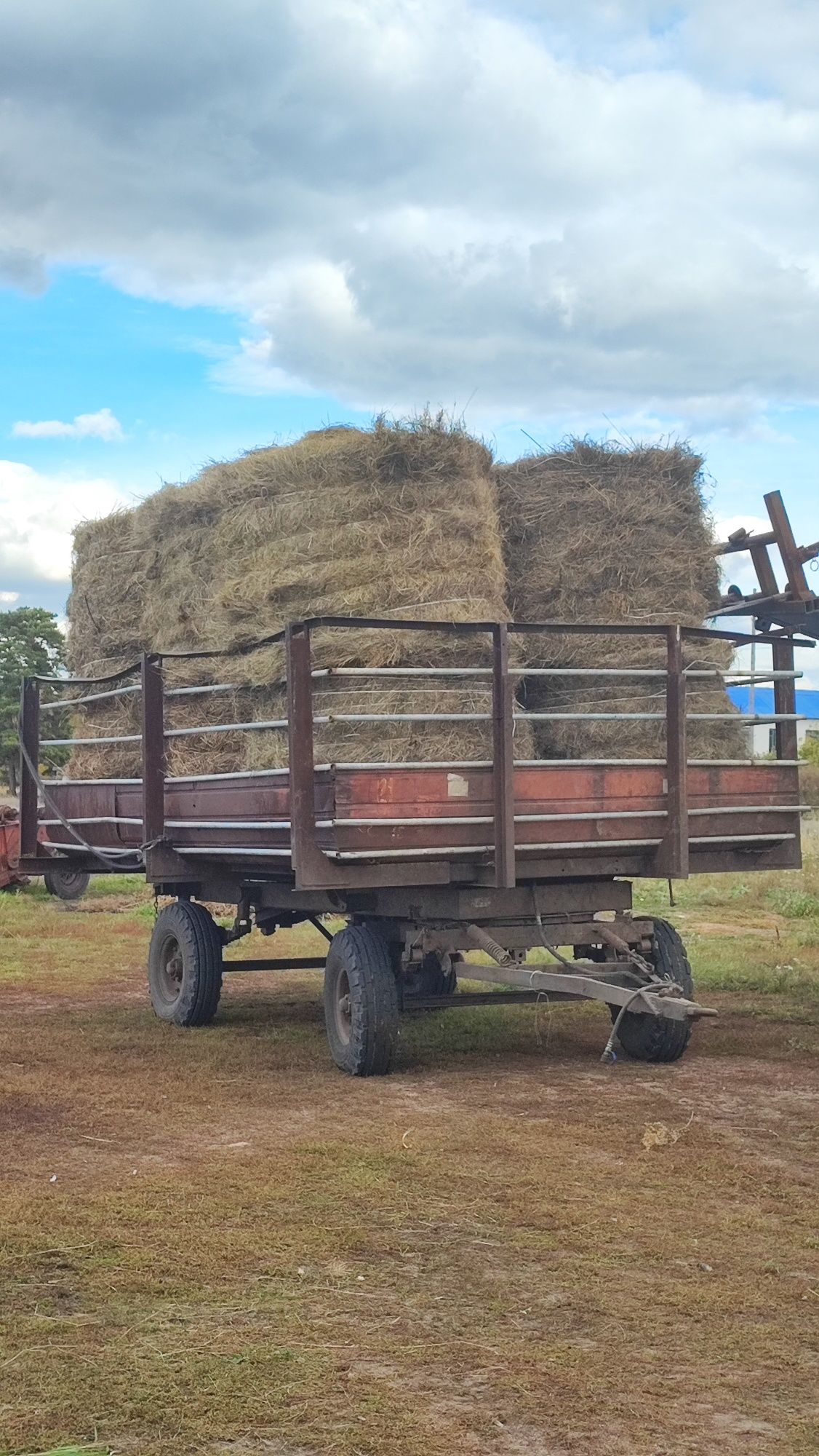 Продам сено, луговое, пресс прф-145,