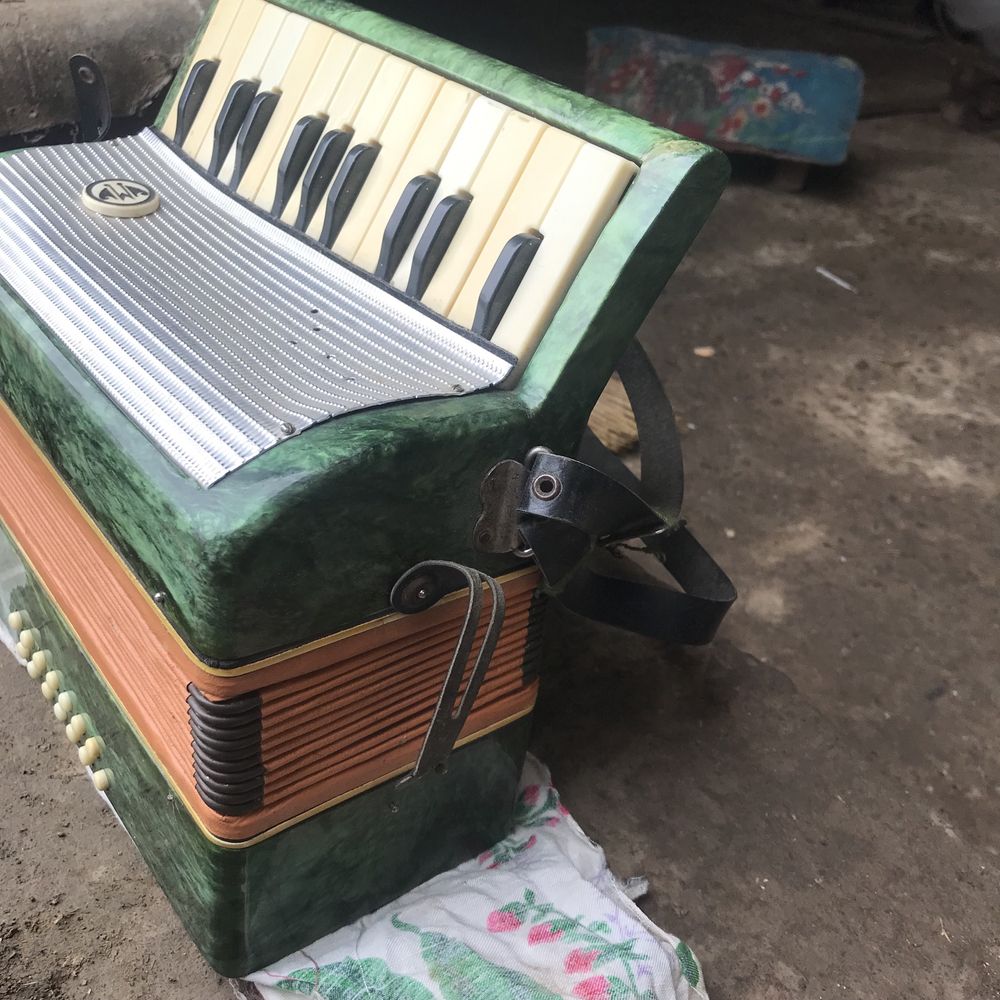 Десткий баян