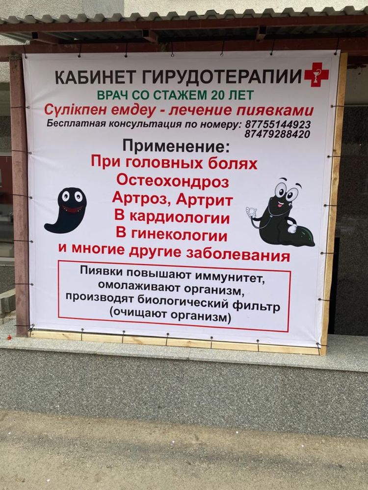 Лечение пиявками