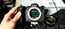 Продам Canon R6 +  RF-Ef mount adapter
