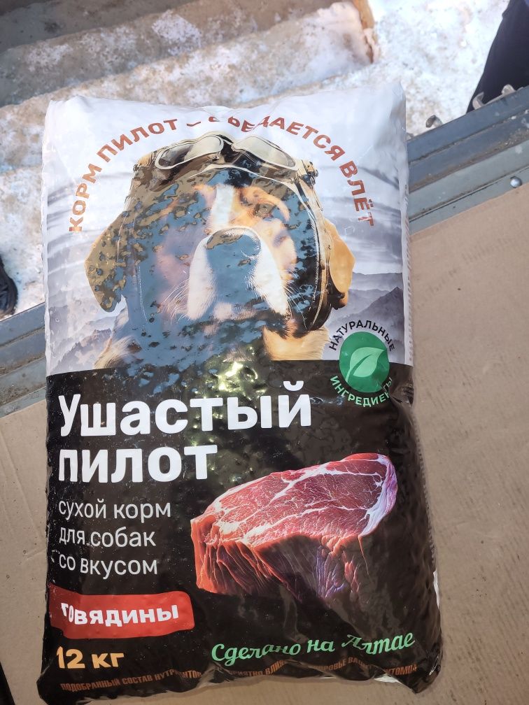 Сухие корма для собак