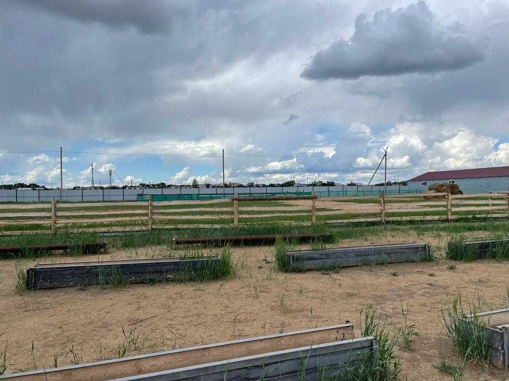 крестьянское хозяйство - база -  2 га