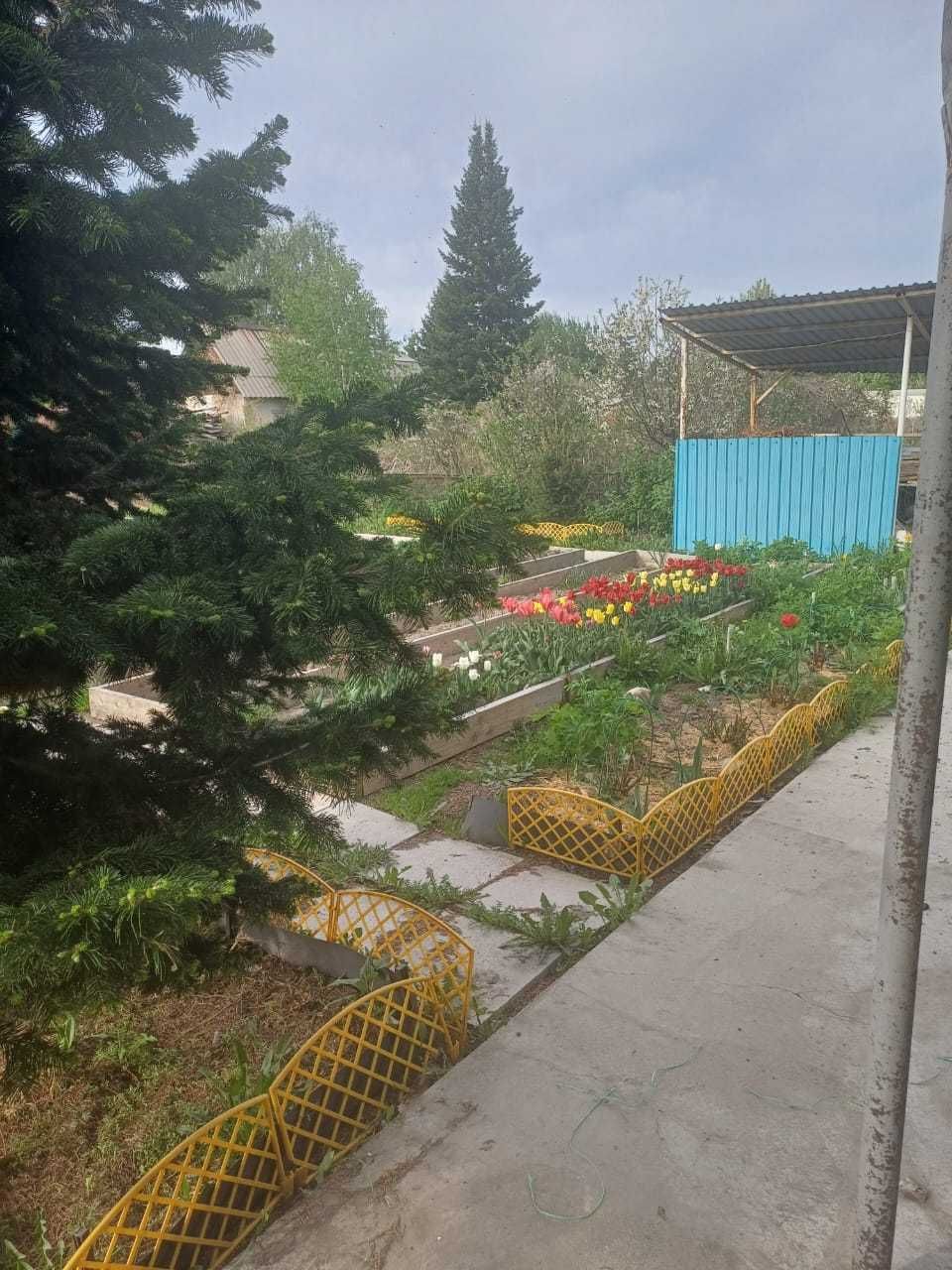 Дача 6 соток, с/т Дружба-1