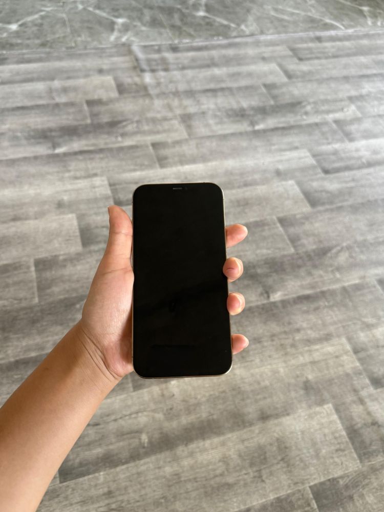iPhone 12 Pro Max