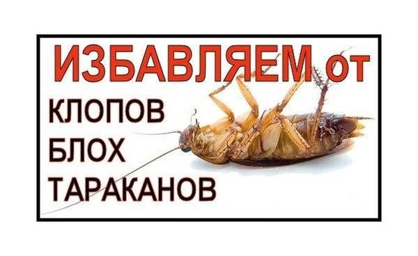 Уничтожение клопов и тараканов