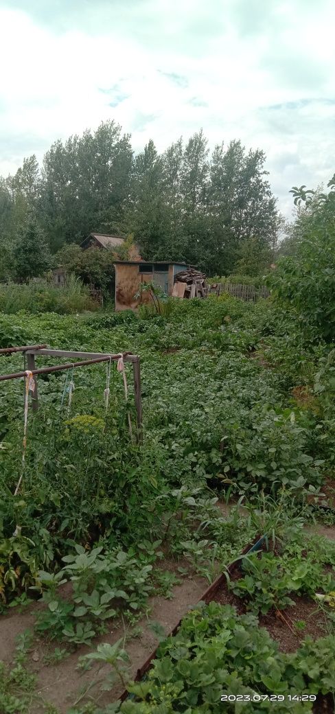 Дача сад "Яблонька"