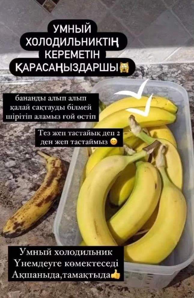 Таппер компаниясының ыдыстары. Ең арзан баға.