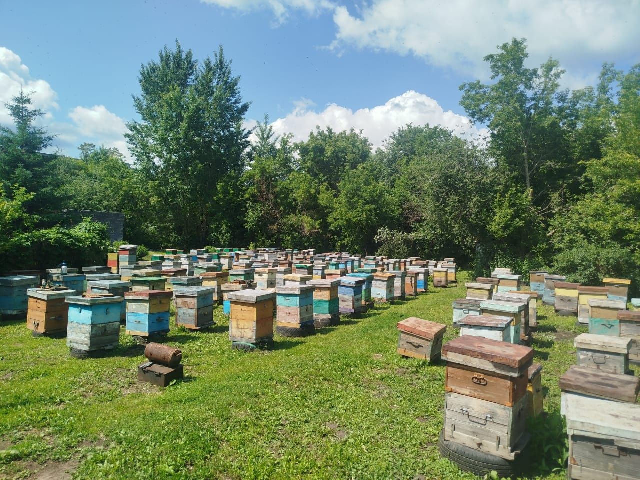Продам мёд натуральный от крестьянского хозяйства