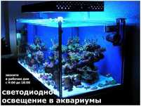 в аквариум светодиодное освещение и подсветка LED светильник ip67