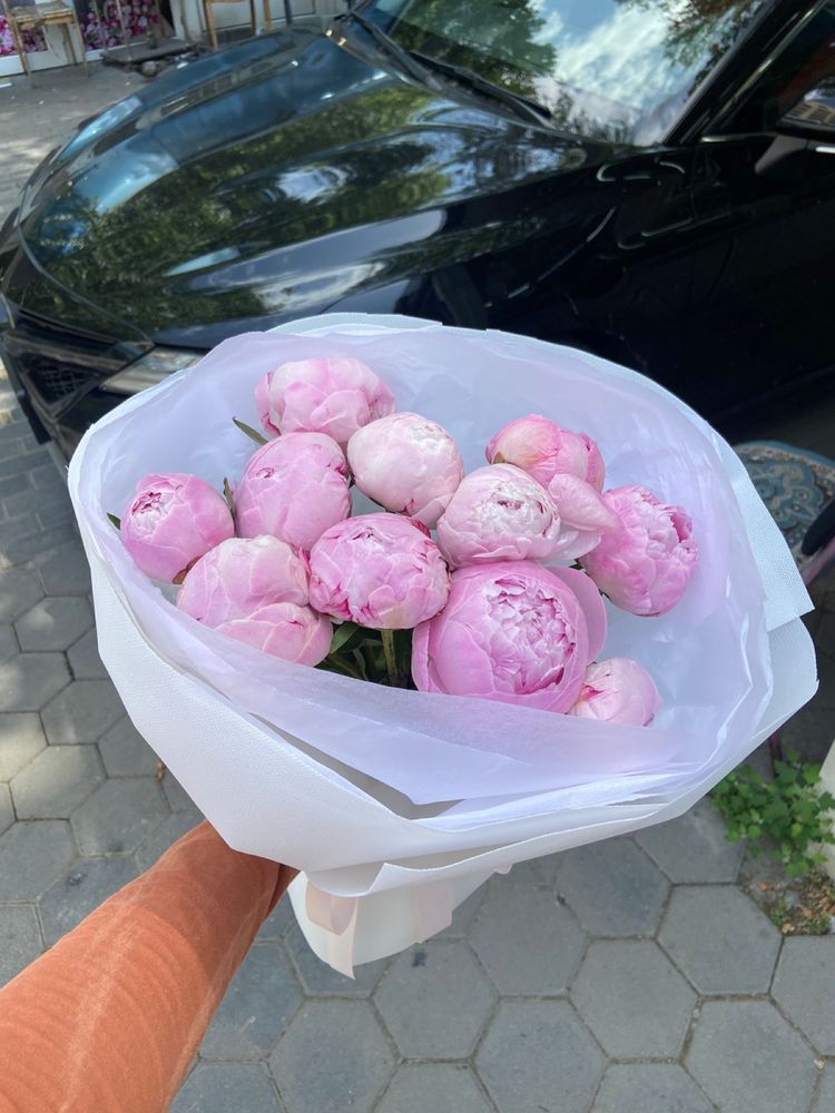 Пионы Голландские, розы большой выбор