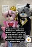 Тедди мишки аренда прокат