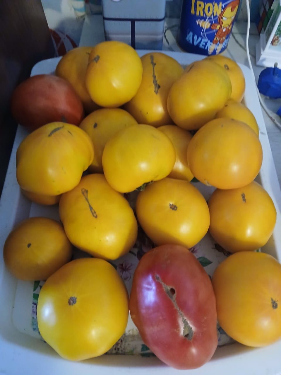 Продам домашние помидоры