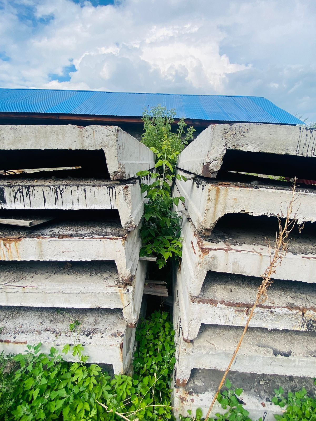 Срочно  Продам плетка