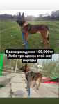 Ищем нашу собаку. Вознаграждение гарантируем