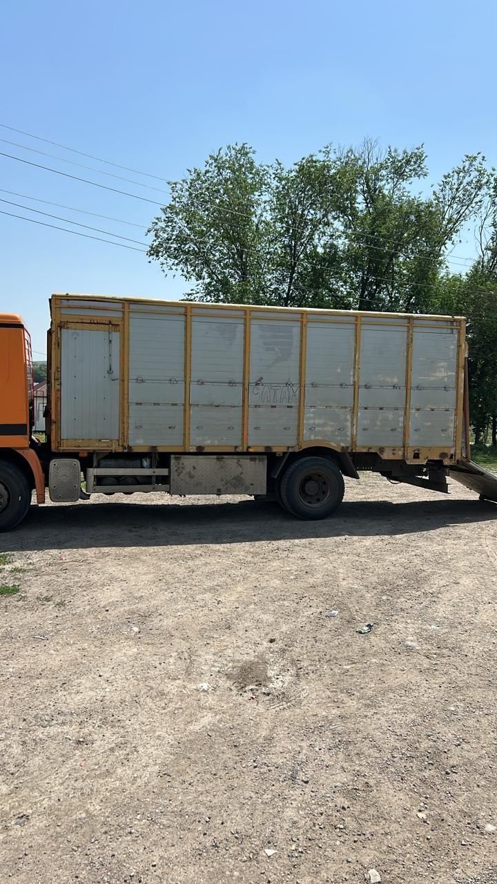 Коневозка  в хорошем
