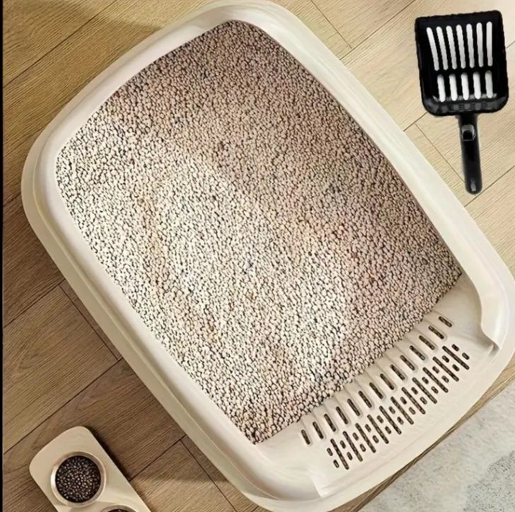 Лоток с бортиком и лопаткой для кошек, котят НОВЫЙ