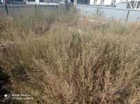 Продам участок 5 соток с фундаментом ,  фундамент армирован   раз11/9