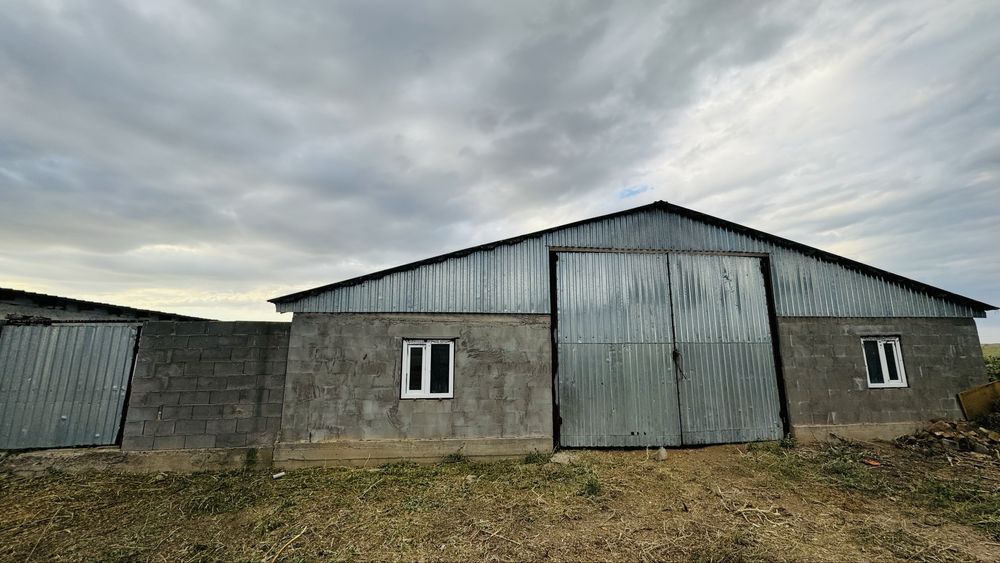 Продам Фазенду 8,08 га