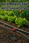 Автоматический капельный полив сада, огорода
