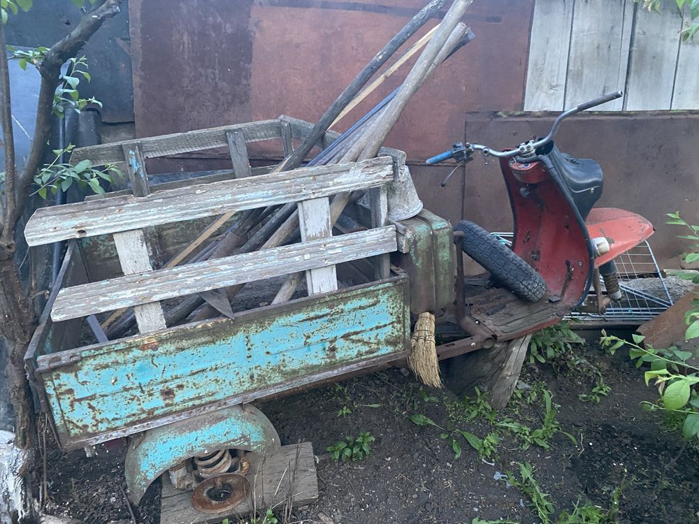Продам муравей