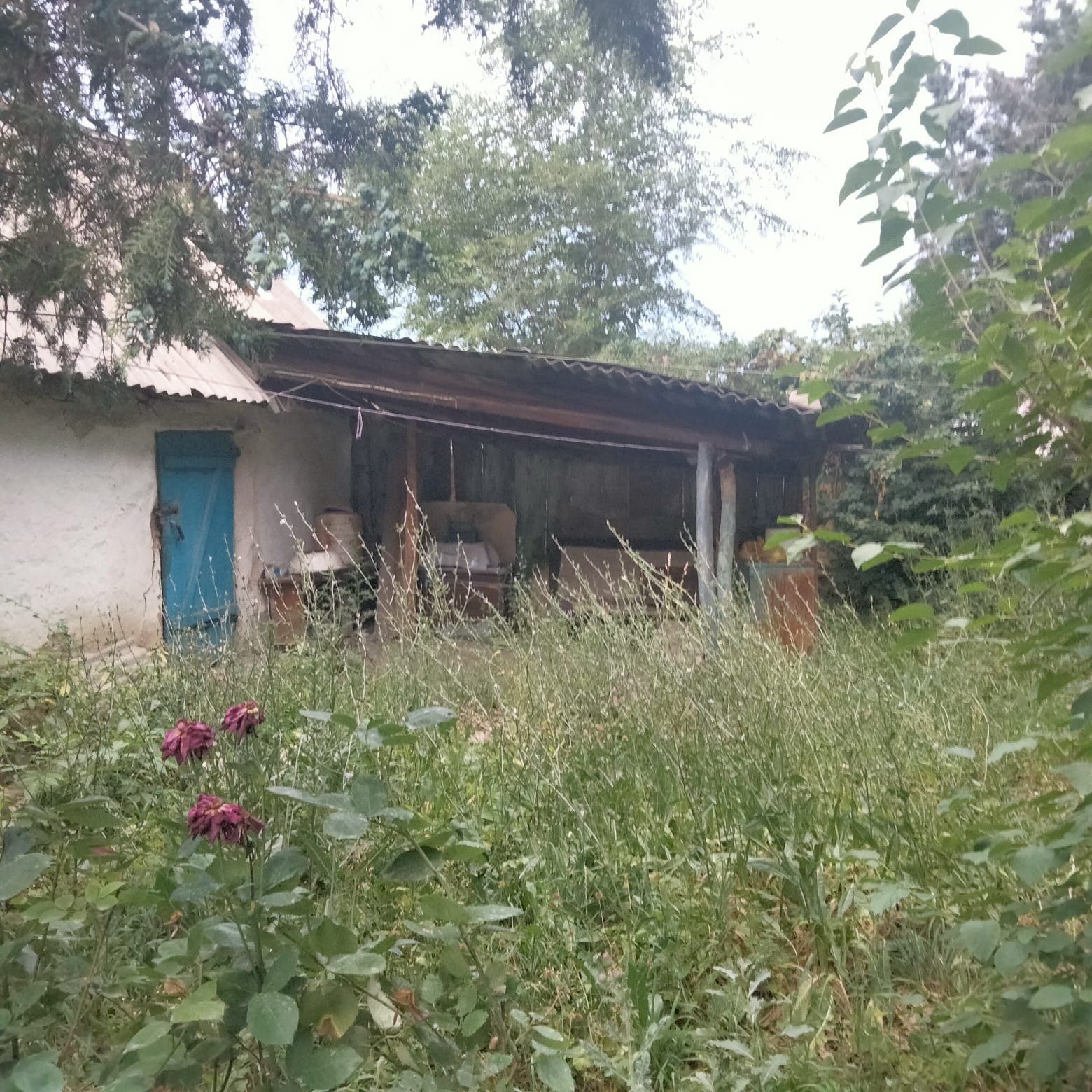 Продам дом экологически чистом районе Алматинской области с Тургень,