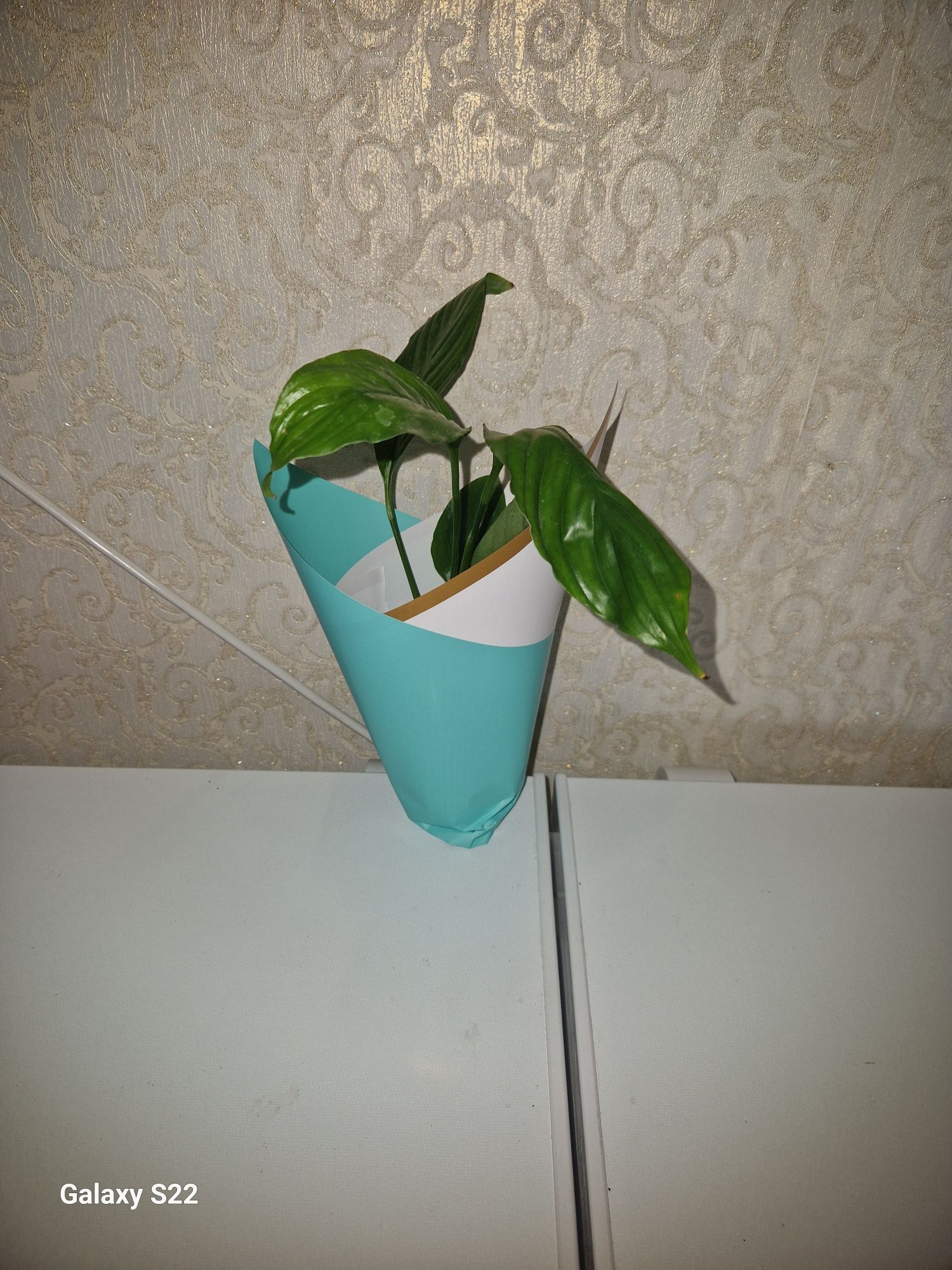 Бумаги  цветные,плёнка.