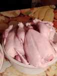 Продаю мясо бролера.