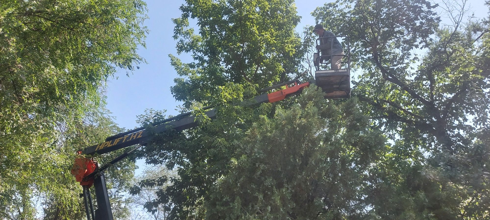 Услуги автовышка аренда, агп, кобра, манипулятор, кран, прицепная вышк