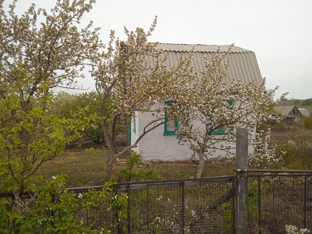 Продам дачу в Боровом.
