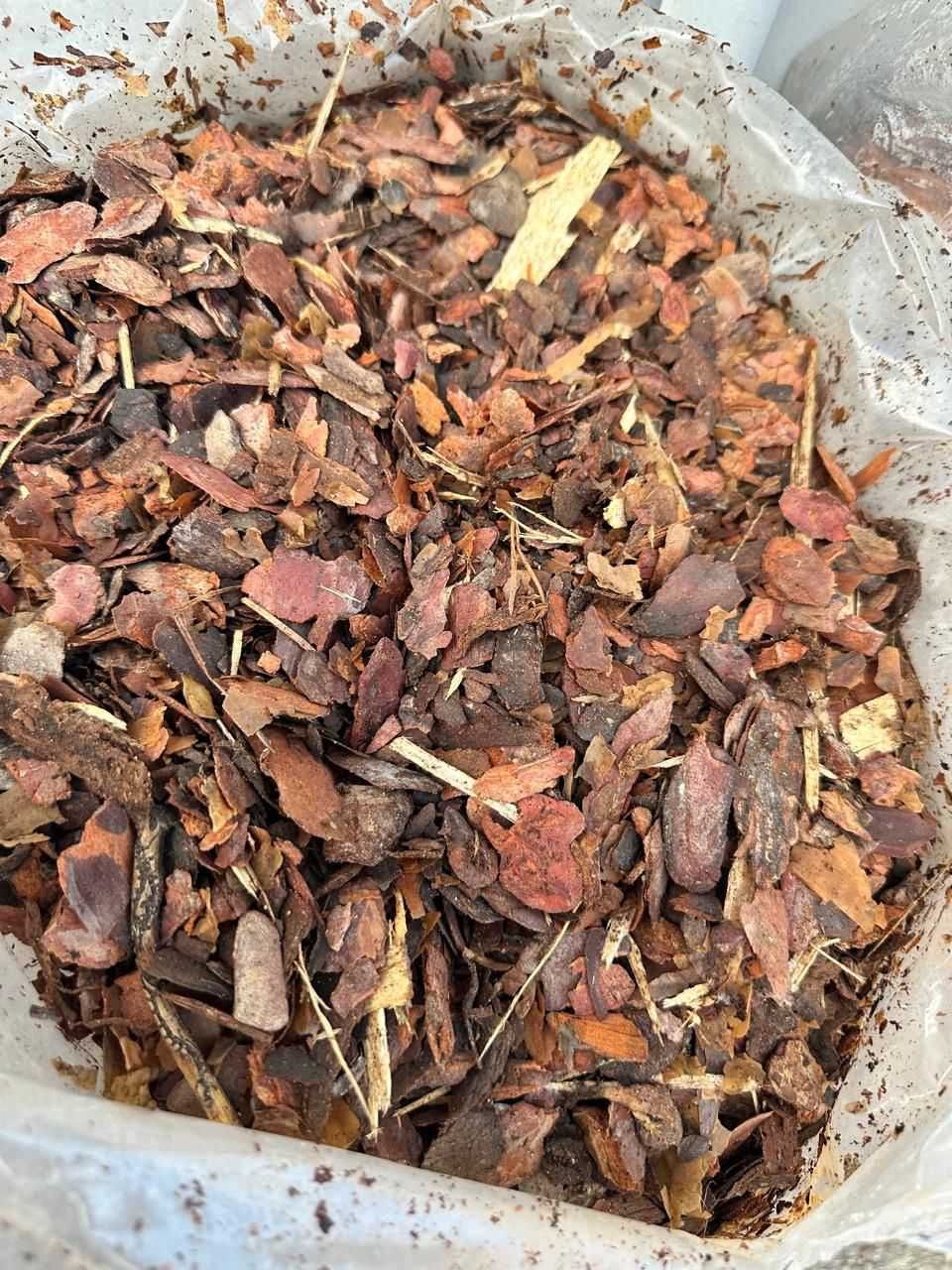 Мульча из коры лиственницы и сосны