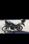 Racer Ranger 300