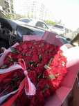 Продам 101 розу красные свежие