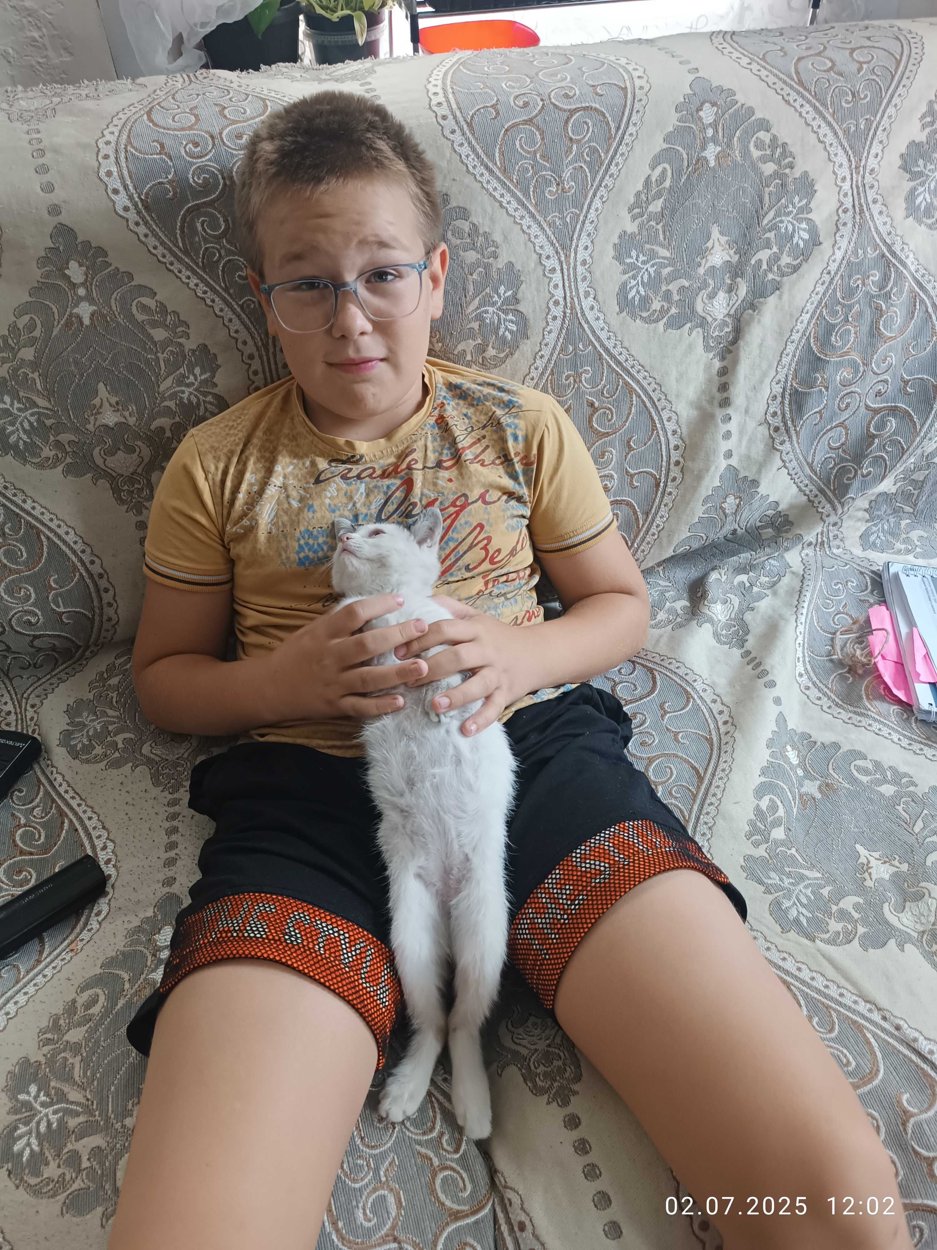 Кошечка ищет новый дом