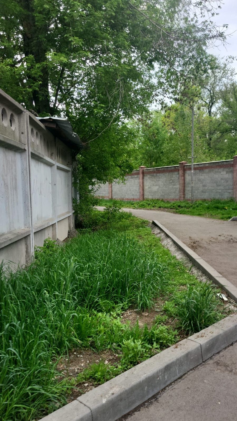 Ставлю лайки и продвигаю видео за деньги