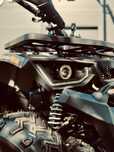 Новый квадроцикл Cruiser777 Hornet 300