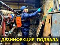 Дезинфекция подвалов от 15000тг